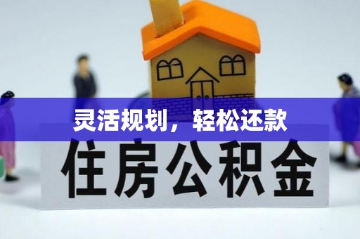 黑水灵活规划，轻松还款