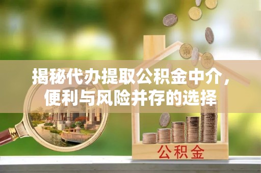 黑水揭秘代办提取公积金中介，便利与风险并存的选择
