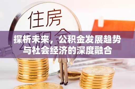 黑水探析未来，公积金发展趋势与社会经济的深度融合