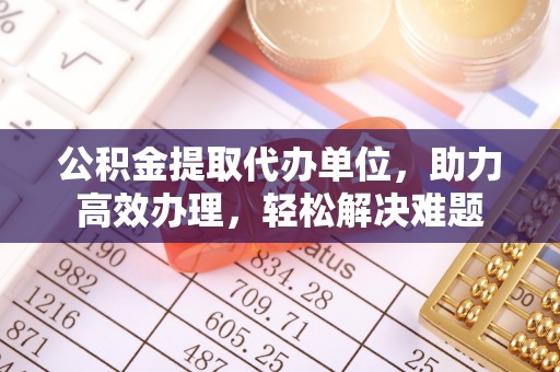 黑水公积金提取代办单位，助力高效办理，轻松解决难题