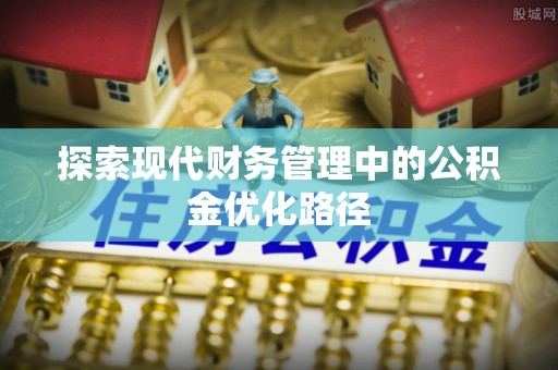 黑水探索现代财务管理中的公积金优化路径