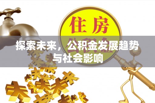 黑水探索未来，公积金发展趋势与社会影响