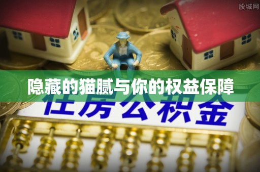黑水隐藏的猫腻与你的权益保障
